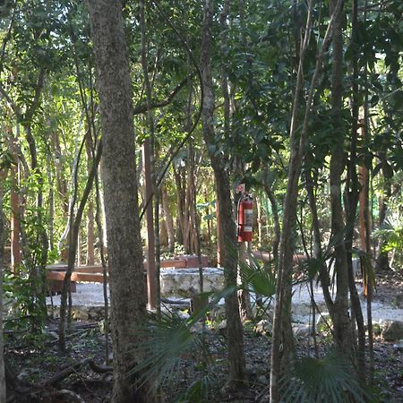 Glamping Mayan Glam Tulum Exterior foto
